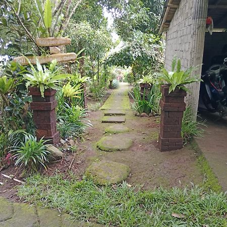 Bali Mountain Forest Cabin Penebel Εξωτερικό φωτογραφία
