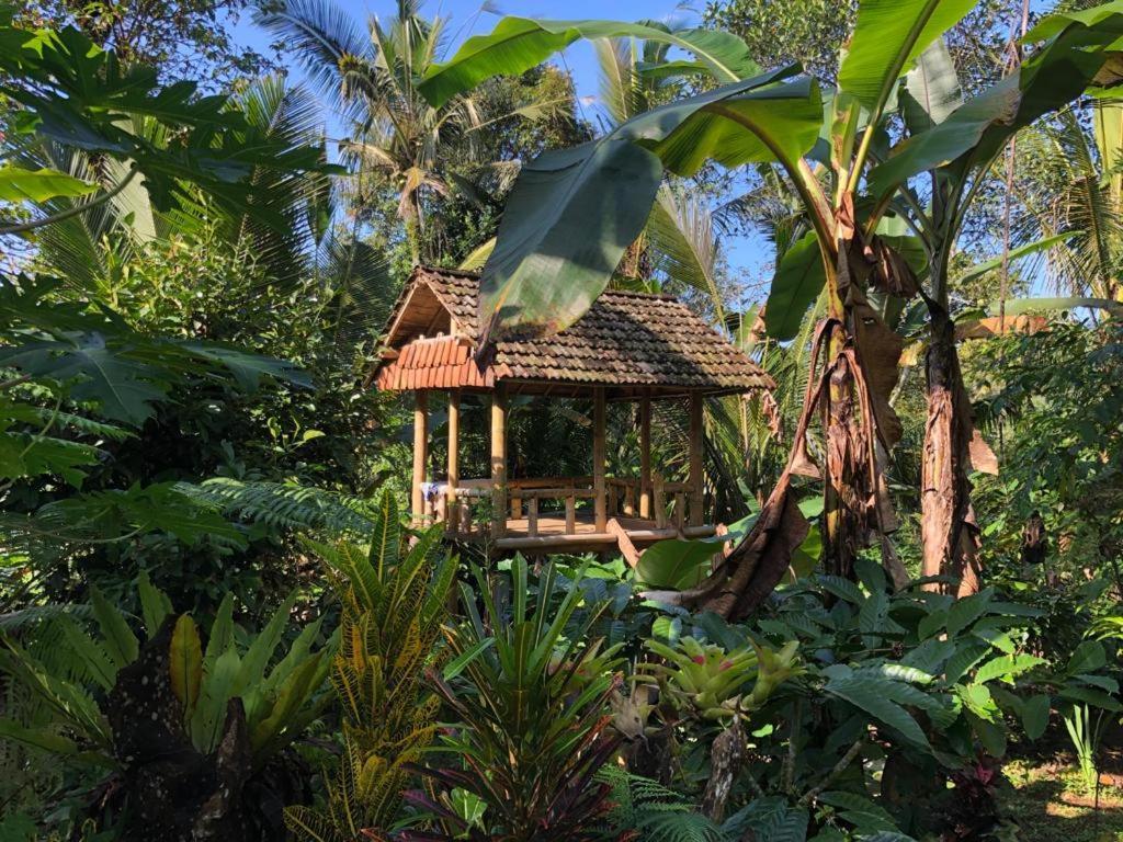 Bali Mountain Forest Cabin Penebel Εξωτερικό φωτογραφία