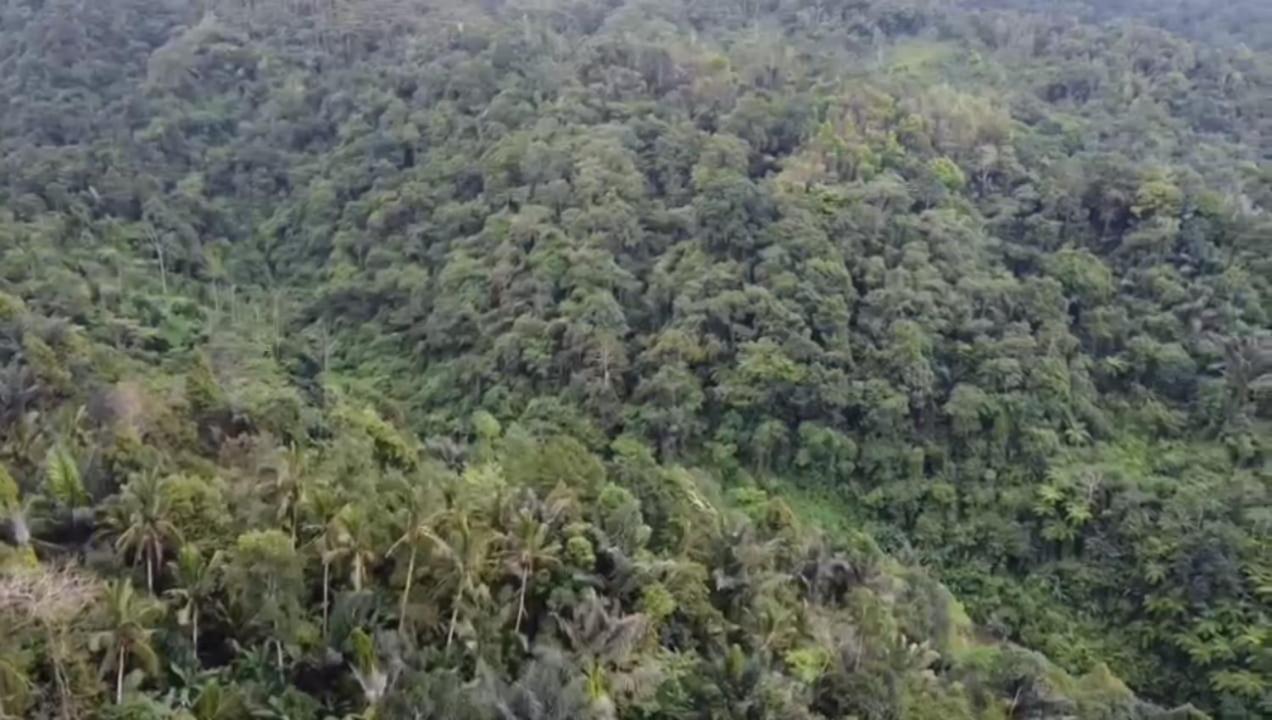 Bali Mountain Forest Cabin Penebel Εξωτερικό φωτογραφία