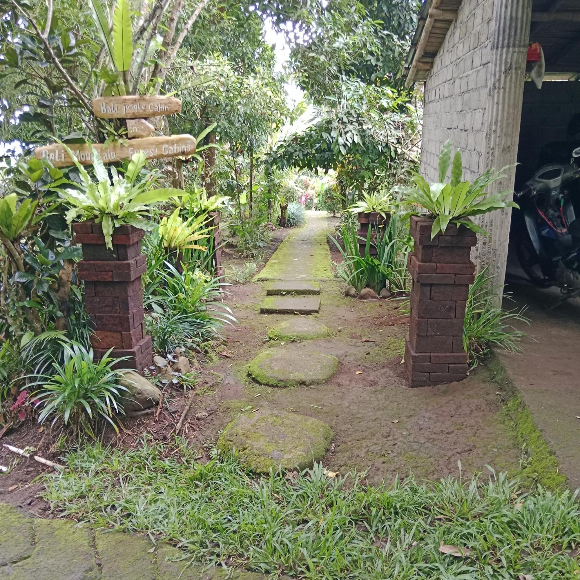 Bali Mountain Forest Cabin Penebel Εξωτερικό φωτογραφία