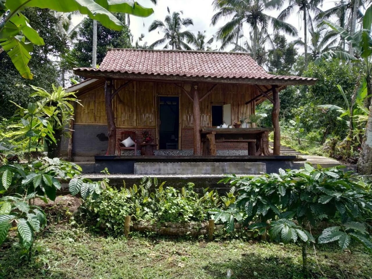 Bali Mountain Forest Cabin Penebel Εξωτερικό φωτογραφία
