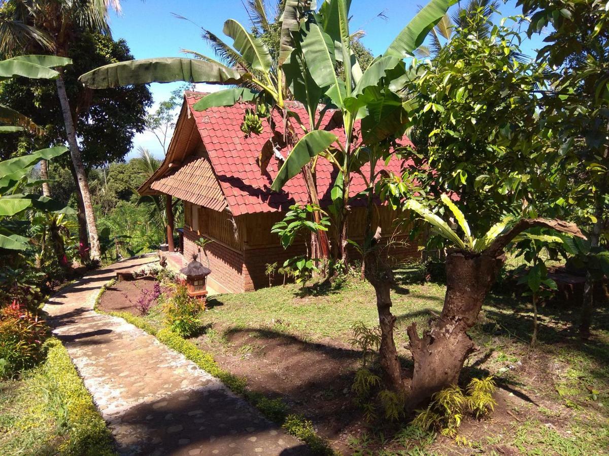 Bali Mountain Forest Cabin Penebel Εξωτερικό φωτογραφία