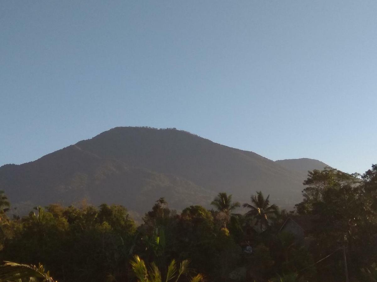 Bali Mountain Forest Cabin Penebel Εξωτερικό φωτογραφία