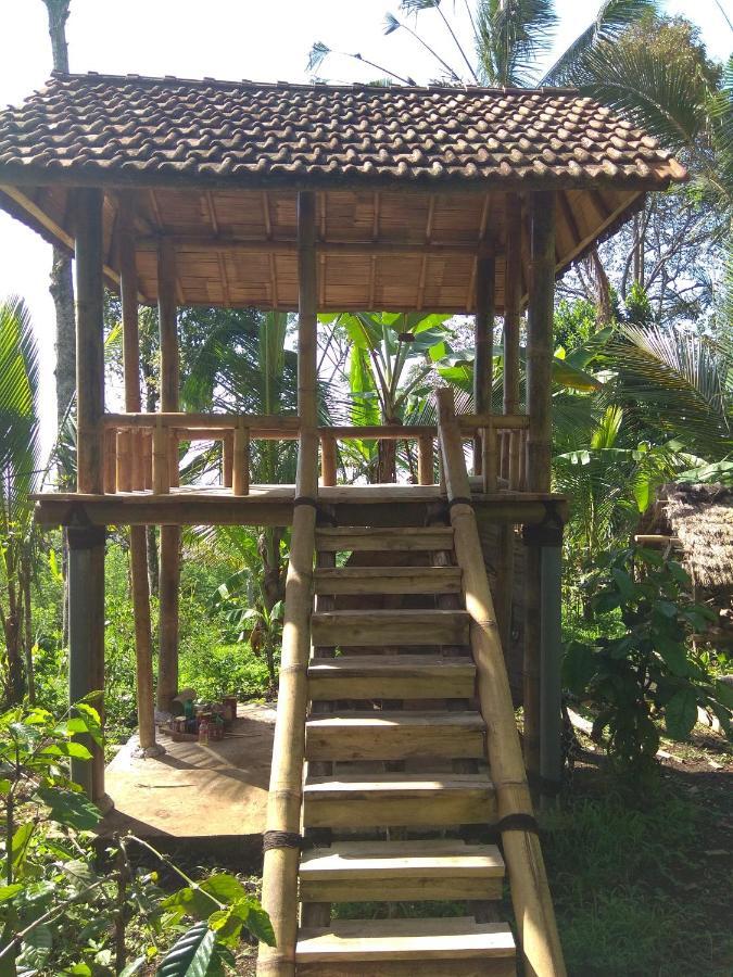 Bali Mountain Forest Cabin Penebel Δωμάτιο φωτογραφία